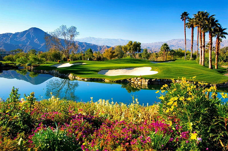 Palm Springs golf, pretty, grass, game, bonito, nice, green, exotic, lovely, fresh, greenery, flwoers, fun, America, joy, trees, palms, lake, sport, water, golf, palm springs, meadow, field, HD wallpaper