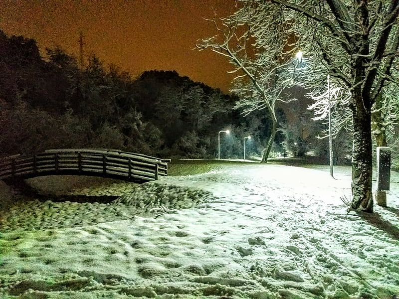 beautifully winter night in the park, Toug, Kosovo, Bashqe, Prishtina, HD wallpaper