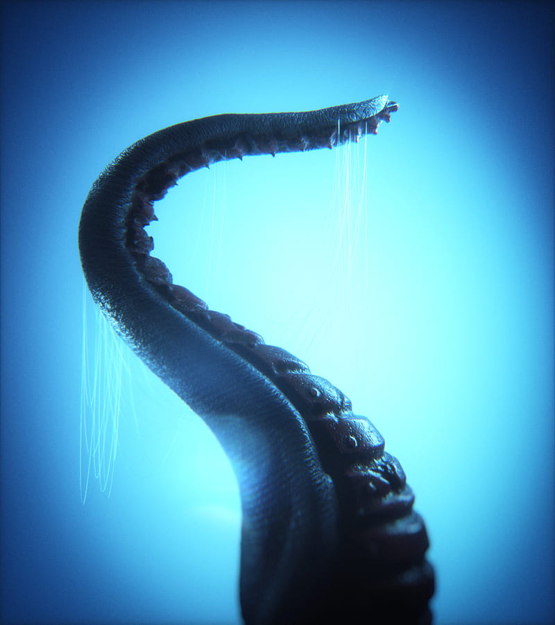 tentacles, creature, 3d, HD phone wallpaper