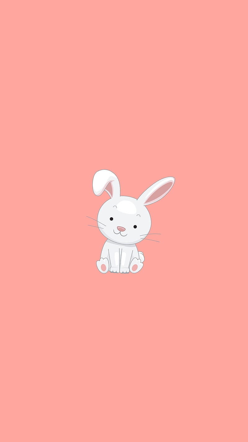Aesthetic Bunny, adorable baby animal, aesthetic magic iphone, beautiful  wildlife animals, HD phone wallpaper | Peakpx