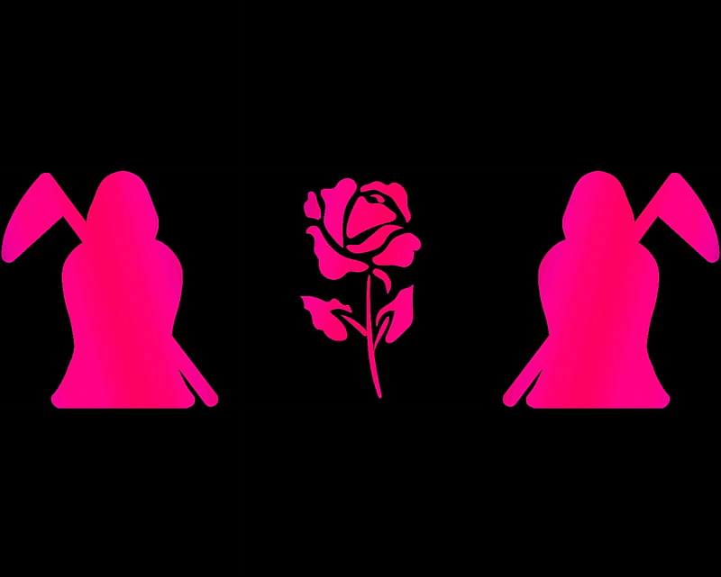 grim reaper & rose, gizzzi, grim reaper, reaper, rose, black, labrano, grimreaper, pink, HD wallpaper