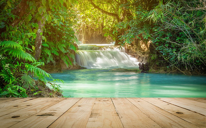 tropical forest, waterfall, lake, creepers, fern, HD wallpaper