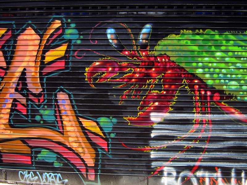 Lobster graffiti, graffiti, california, san francisco, lobster, HD wallpaper