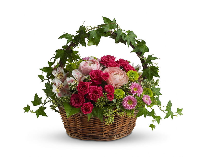 Flores, rojo, rosa, tarjeta, verde, cesta, flor, blanco, hiedra, rosa,  Fondo de pantalla HD | Peakpx