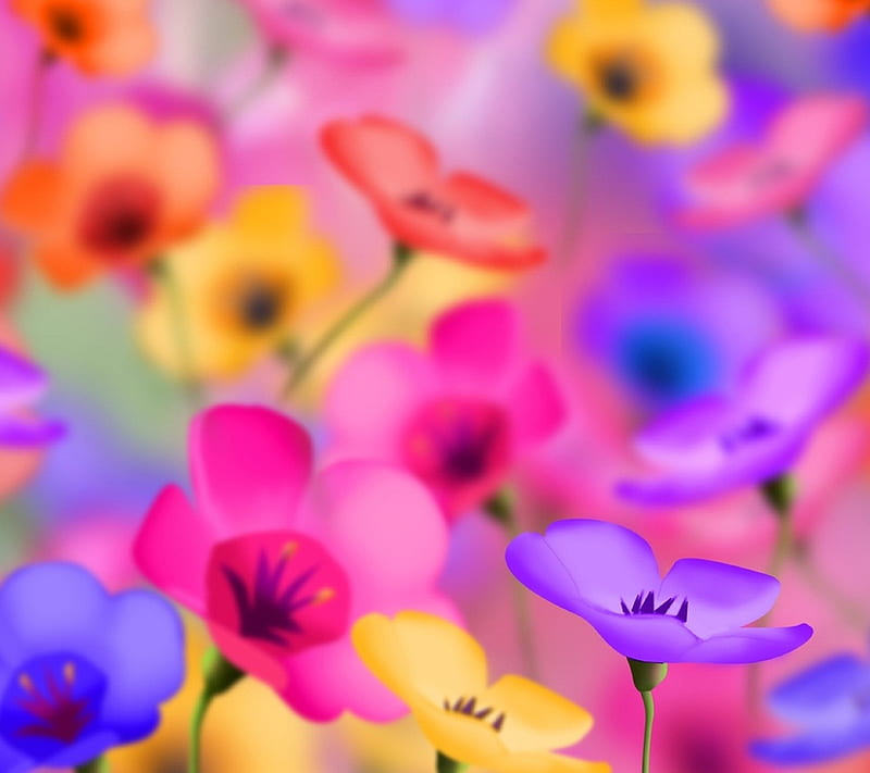 Flores de colores, colores, lindo, flor, Fondo de pantalla HD | Peakpx