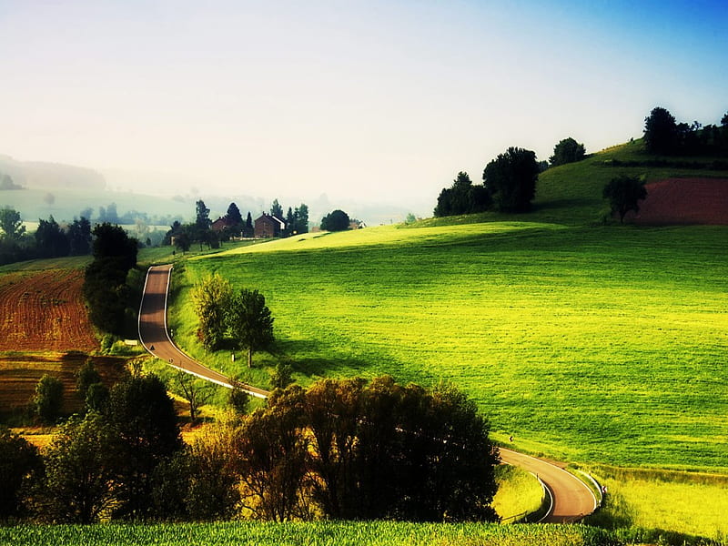 Rural Landscape, rural, grass, pasture, road, trees, landscape, HD wallpaper