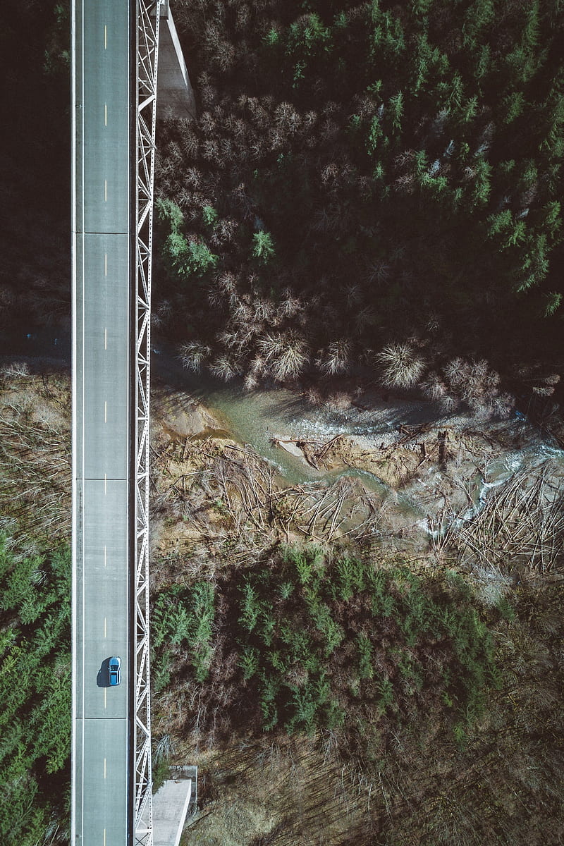 aerial view, trees, portrait display, bridge, dead trees, forest, water, car, USA, HD phone wallpaper
