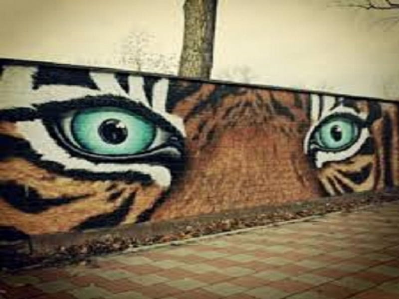 Tiger Grafitti, Tiger, Grafitti, Beauty, Animals, HD wallpaper