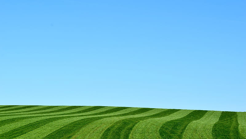 field, hill, grass, stripes, nature, minimalism, HD wallpaper