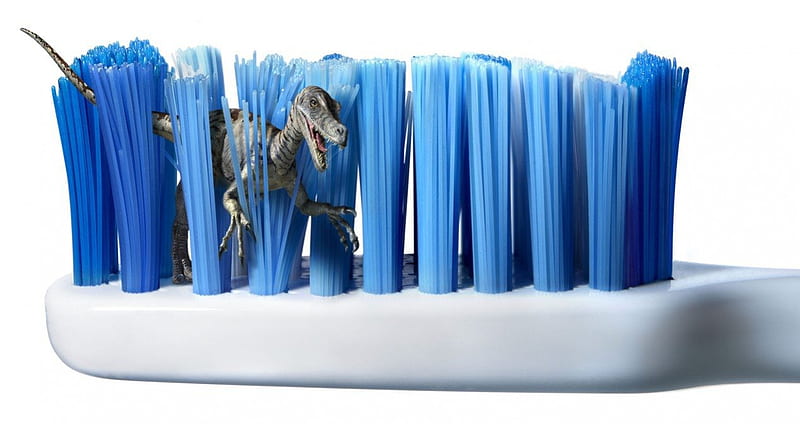 Dinosaur in Toothbrush, 3d, fantasy, abstract, HD wallpaper