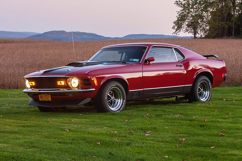 1970 Ford Mustang Mach 1 347ci V8 C4 Transmission, 347ci, Ford, V8, Red, Muscle, Transmission, Old-Timer, Mustang, C4, Car, Mach 1, HD wallpaper