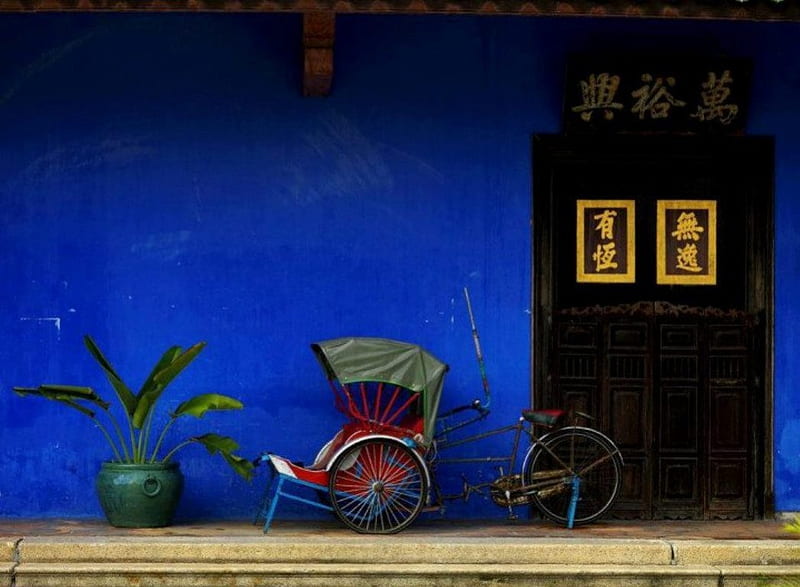 Asian Still Life plant, bicycle, pot door, still life, graphy color, bike, blue pic, wall, asia, ideogram, flower, asian, colour, HD wallpaper