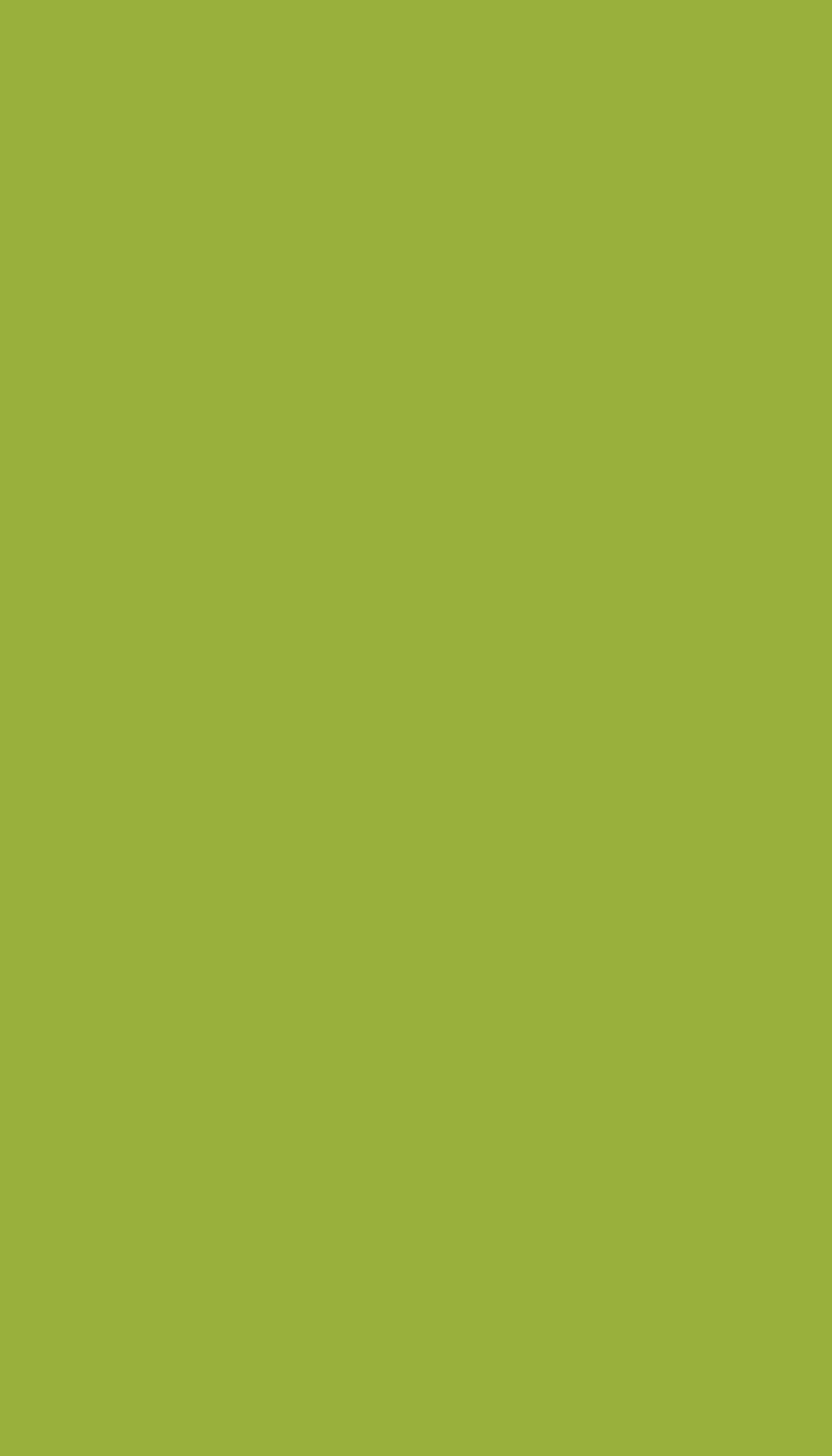 khaki, color, background, monochrome, minimalism, green, HD phone wallpaper