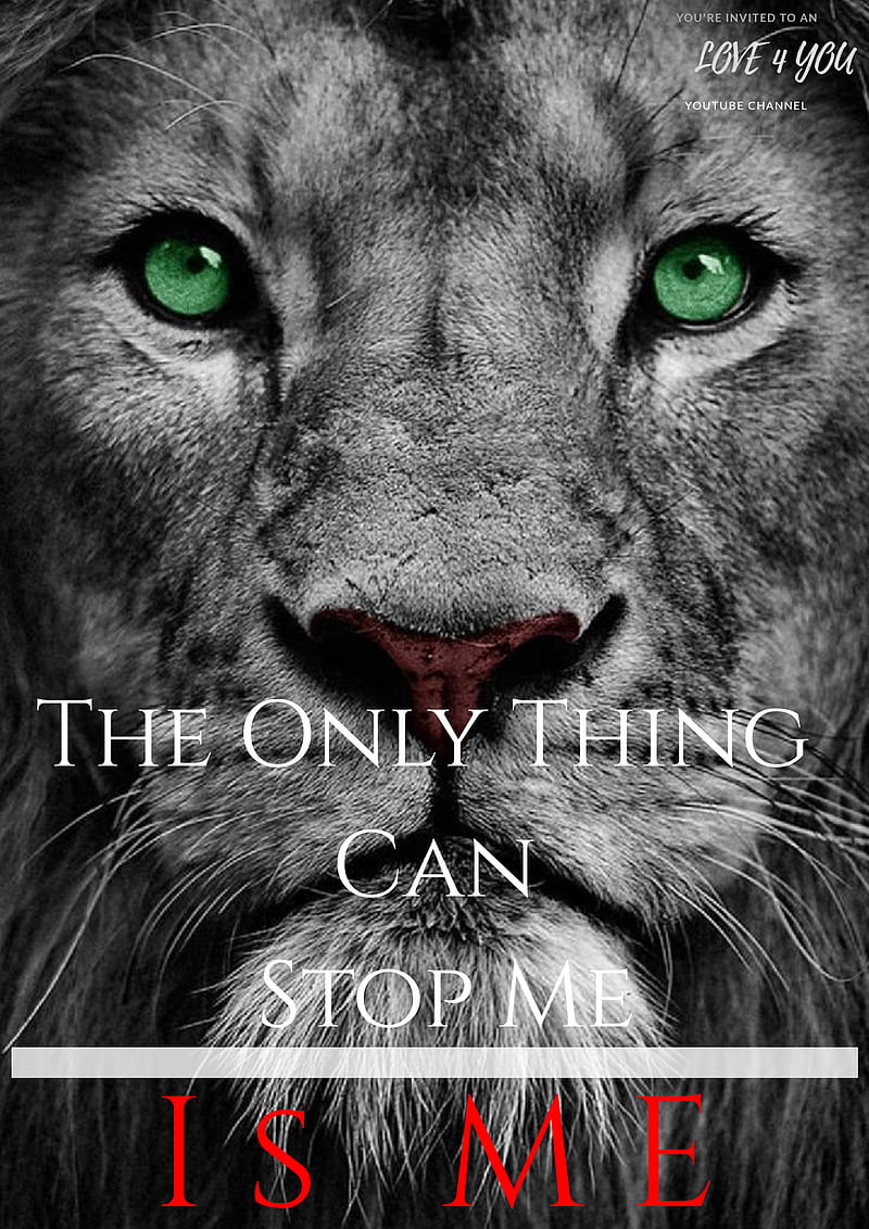 Only Thing, king, lioness, lions, quote, HD phone wallpaper | Peakpx