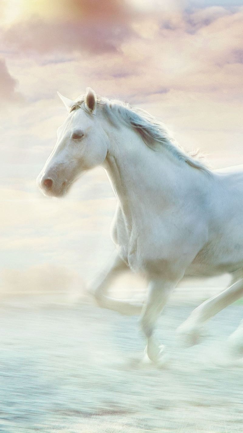 Running Horse Motion Blur, running horse, motion blur, white, clouds,  animal, HD phone wallpaper | Peakpx