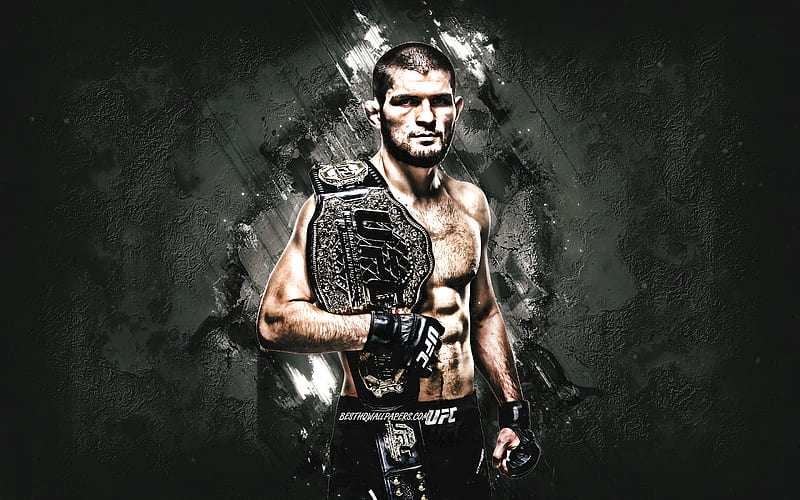 Khabib Nurmagomedov, UFC, Russian UFC fighter, portrait, gray stone  background, HD wallpaper | Peakpx