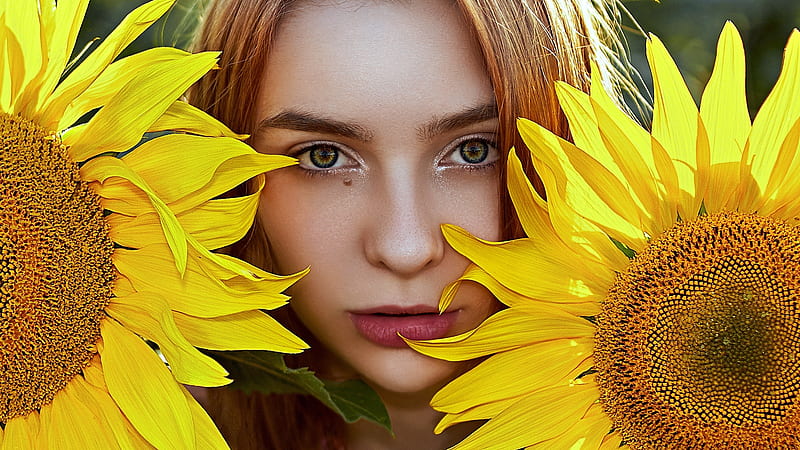 ლ, Girl, Sunflowers, Look, Face, HD wallpaper