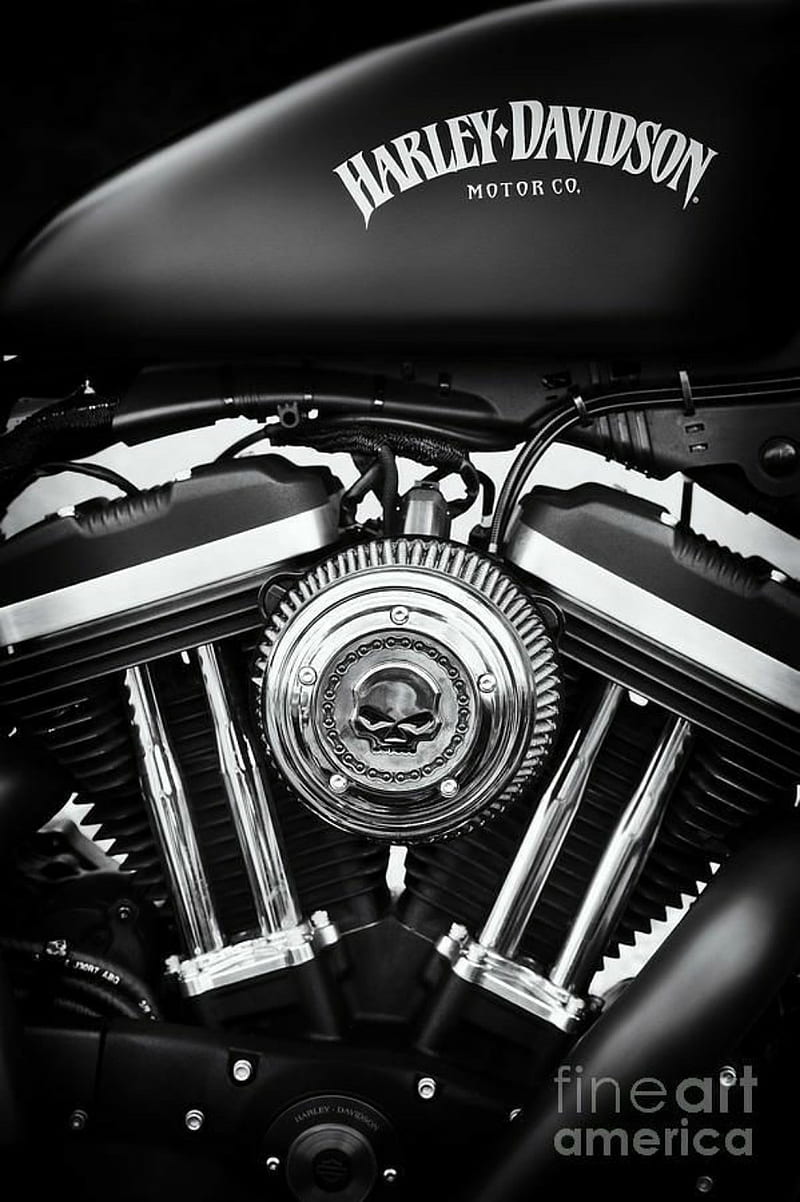 Harley Davidson , biker, emblems, motorcycle, HD phone wallpaper
