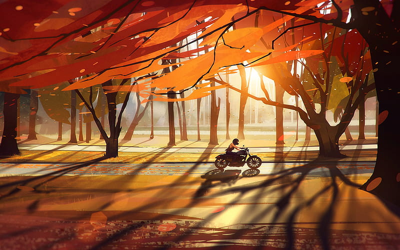 Autumn, trees, forest, motorcycle, leaves, road, sun rays, art drawing ...
