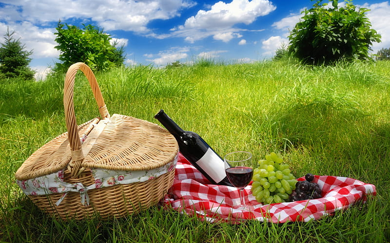 Picnic, baskets, pretty, grass, bottle, liaisons, clouds, food and wine, fruit, lovers, picnic basket, bush, beauty, lovely, romance, food, rendezvous, time, relax, sky, picnics, tablecloth, trees, bottle of wine, glass, field, colorful, sunny, bonito, grapes, private, green, fields, horizons, blue, amazing, romantic, view, wine, colors, spring, tree, basket, peaceful, summer, day, nature, lawn, meadow, HD wallpaper