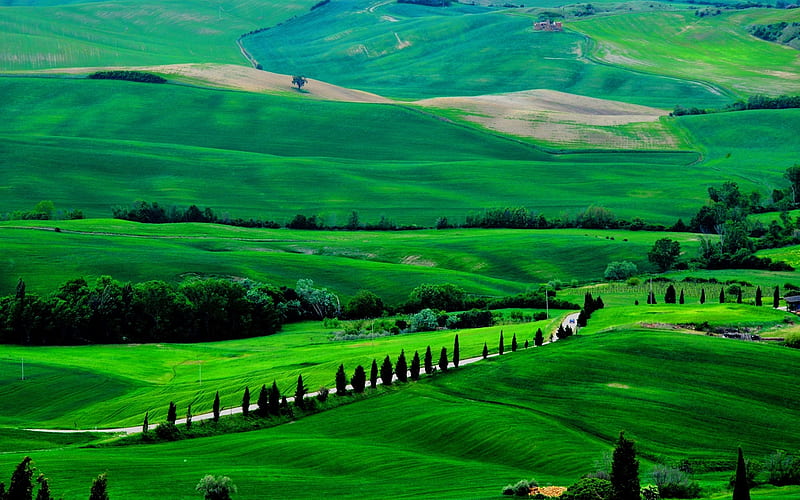 Hills of Tuscany, hills, pretty, grass, graphy, green, nature, fields, aerial, HD wallpaper