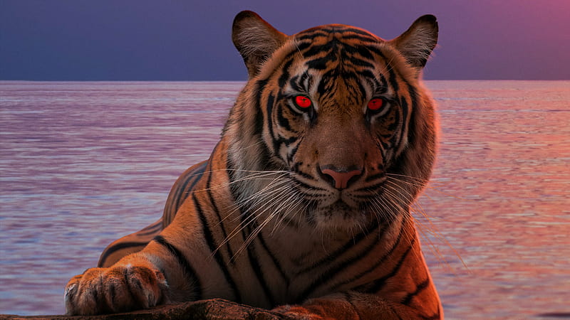 Tiger Glowing Red Eyes , tiger, animals, hop, HD wallpaper