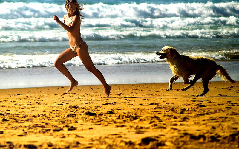 Out for a Morning Run, doggie, models, blonde, bonito, fun, bikini, beach, people, sexh, HD wallpaper