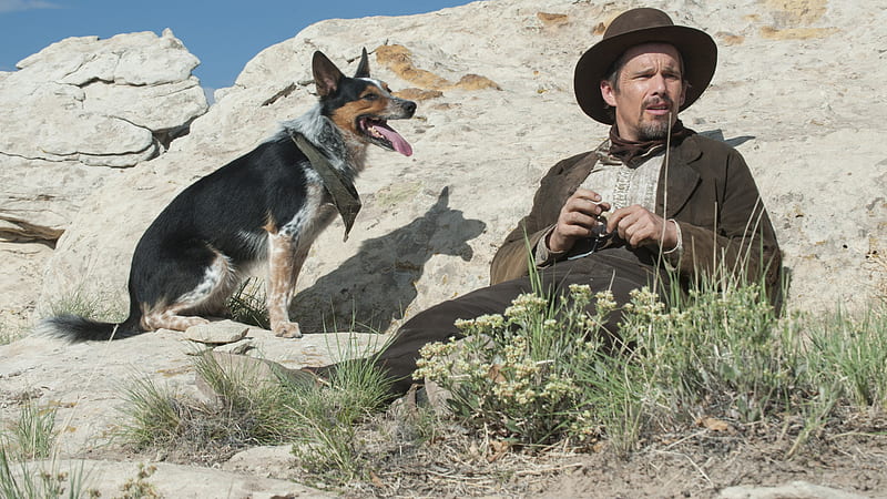 cowboy and his dog, rocks, cowboy, wild west, dog, HD wallpaper