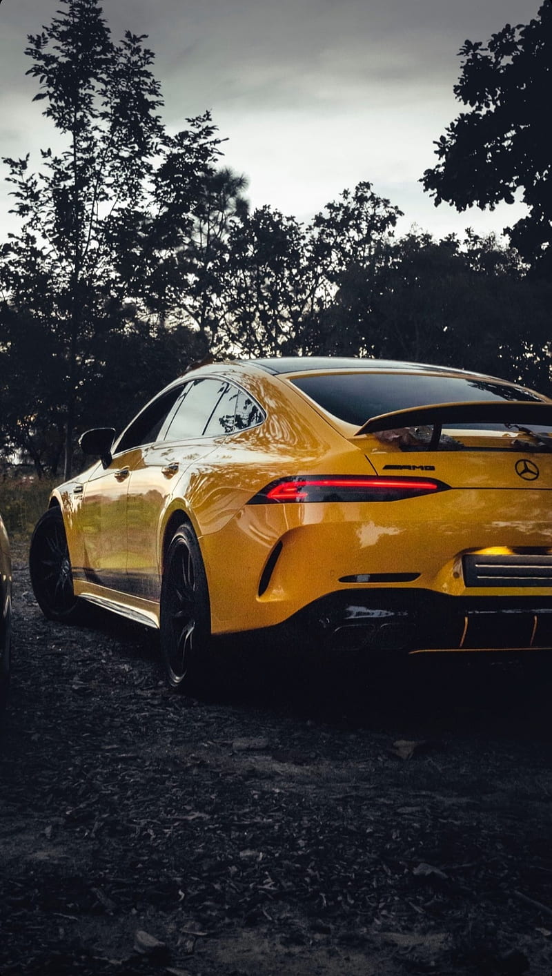 Amg Pictures  Download Free Images on Unsplash
