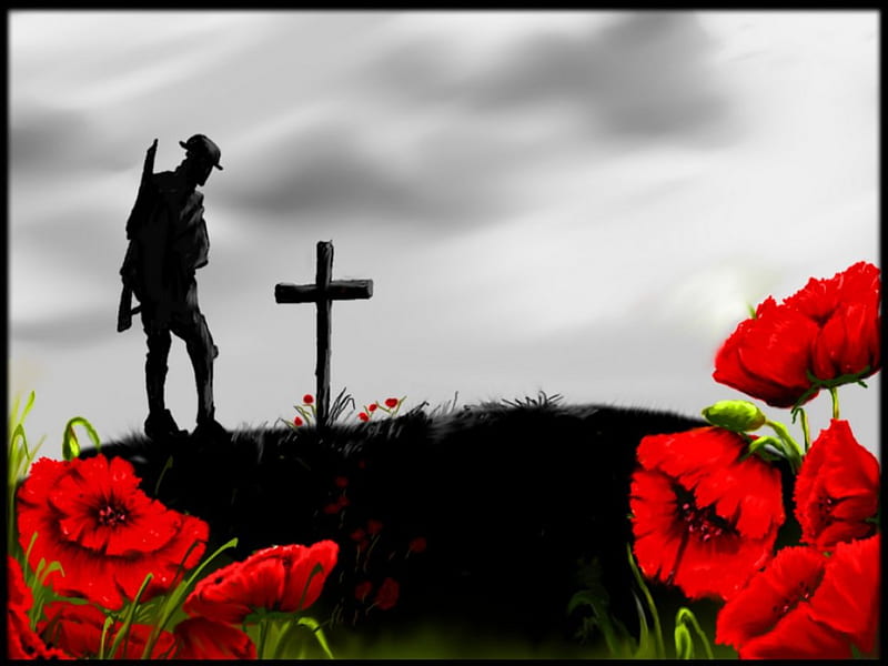 A Day of Thanks, soldier, Canada, poppies, Remembrance day, HD wallpaper
