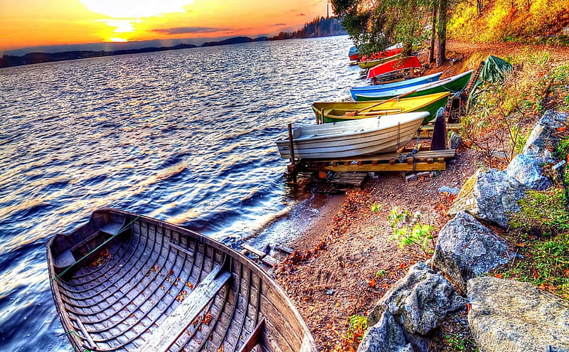 rowboats lined on a lakeshore r, shore, r, sunset, rowboats, lake, HD wallpaper