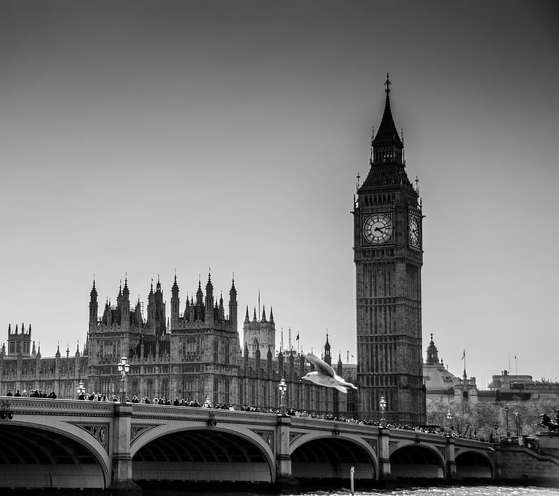 bigben, black, bridge, city, london, peoples, shadow, white, HD wallpaper