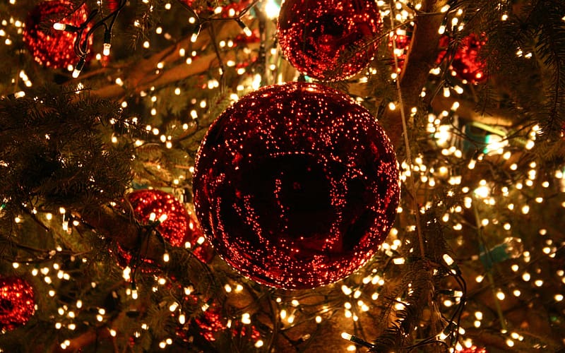 Light, Christmas, Holiday, Christmas Ornaments, Christmas Lights, HD ...
