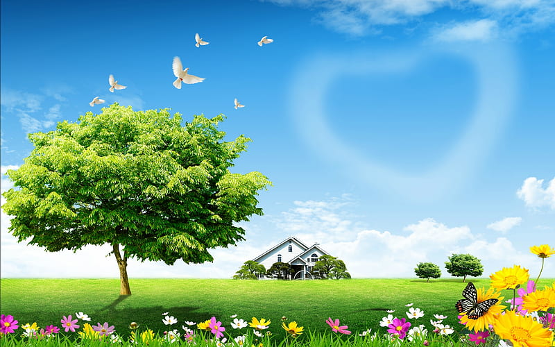 Spring Day, house, grass, trees, sky, clouds, doves, butterfly, heart, flowers, Spring, HD wallpaper