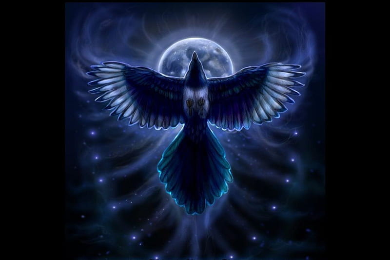 Bringer of the night raven, birds, magic, abstract, goth, fantasy, moon dark, crow, night, HD wallpaper