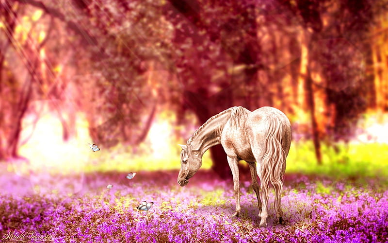 white horse, lawn, butterflies, horses, HD wallpaper