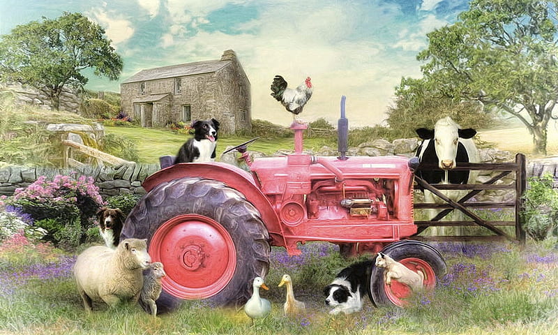 Wallpaper Roll Farm Life Farming Barn Cow Chicken Tractor 24in x 27ft