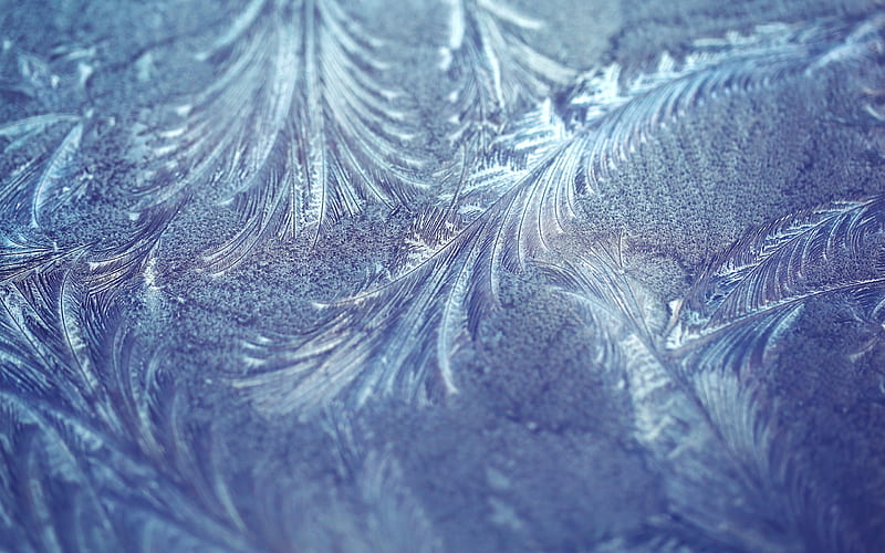 Frozen, glass, texture, ice, winter, blue, iarna, leaf, HD wallpaper