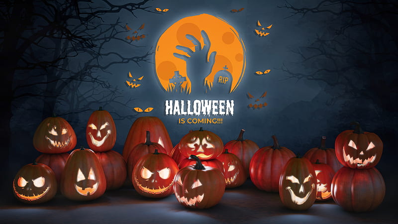 Halloween is Coming, pumpkins, halloween, digital art, typography, spooky, HD wallpaper