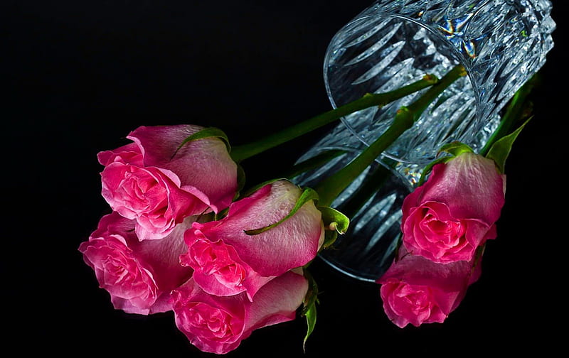 Roses in glass, pretty, background, bonito, mirrored, nice, elegance,  flowers, HD wallpaper | Peakpx