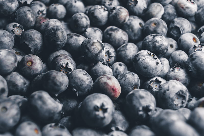 blackberries bundle, HD wallpaper