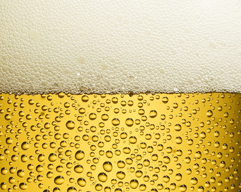 Beer, alcohol, beers, glass, HD wallpaper