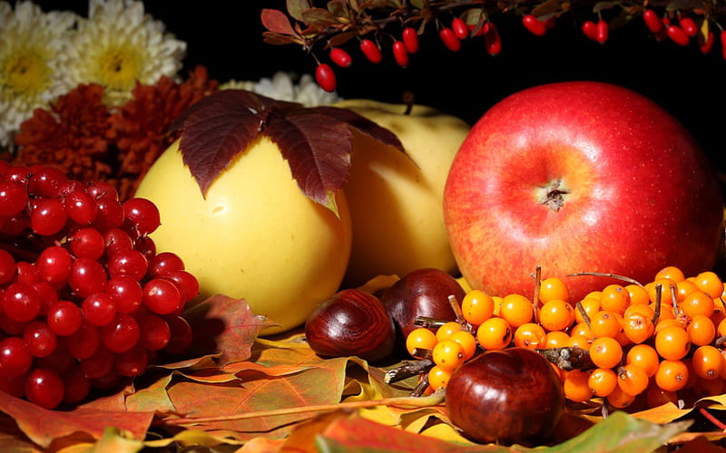 Enjoy the fruits of autumn, apple, red, autumn, pear, food, fruits, yellow, chestnuts, sweet, grape, berry, HD wallpaper
