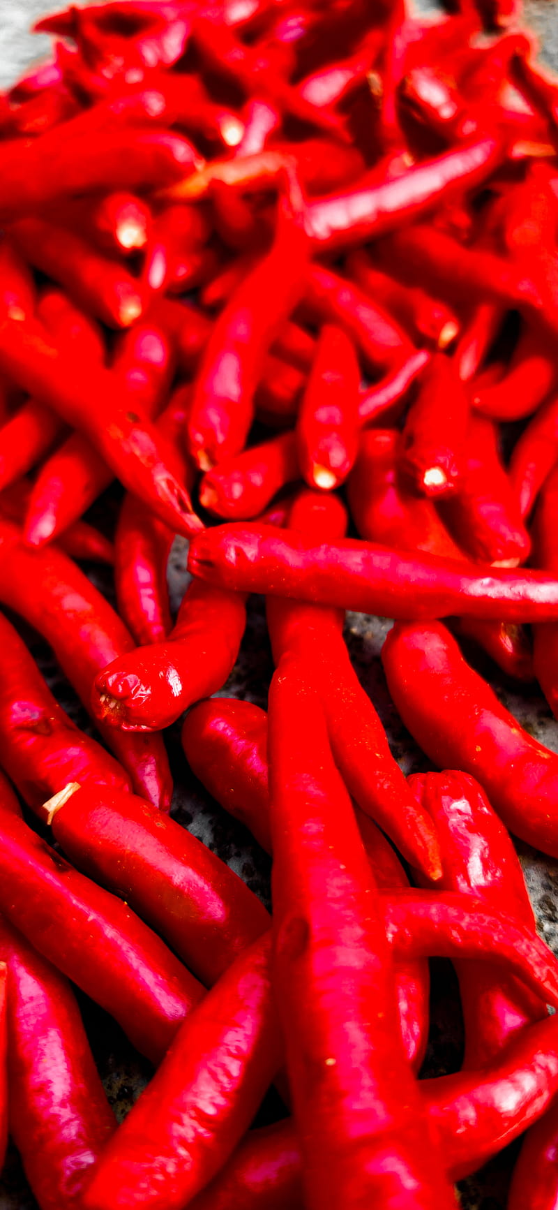 Chilli, amoled, bright, nature, puncchy, red, HD phone wallpaper