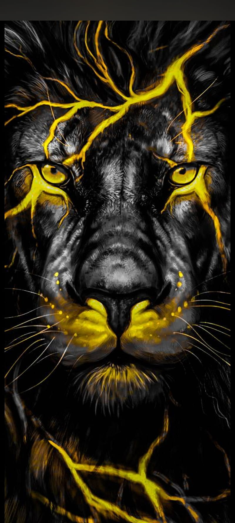 Lion king, animal, black, jungle, lions, live life king size, swag, tiger,  tigers, HD phone wallpaper | Peakpx