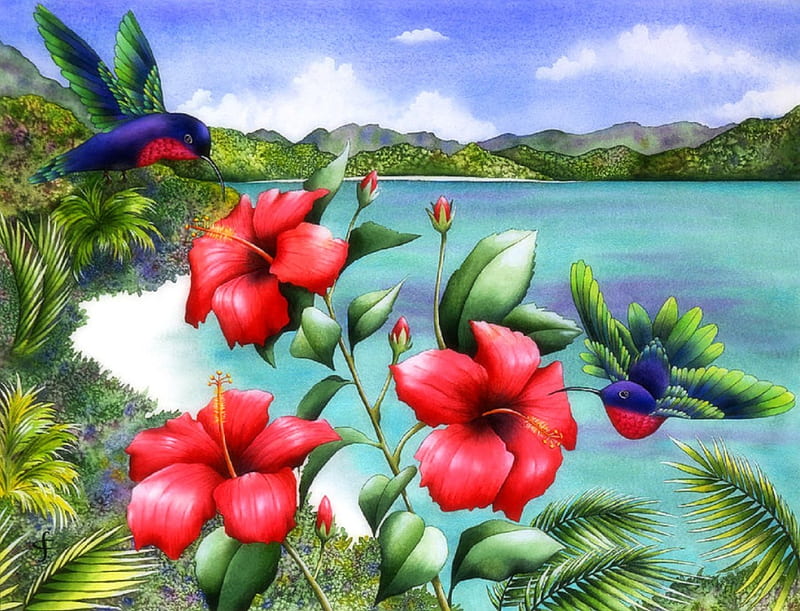 Hibiscus Hummingbirds, lovely, hummingbirds, colors, love four seasons, birds, bonito, attractions in dreams, paintings, paradise, beaches, summer, flowers, nature, tropical, HD wallpaper