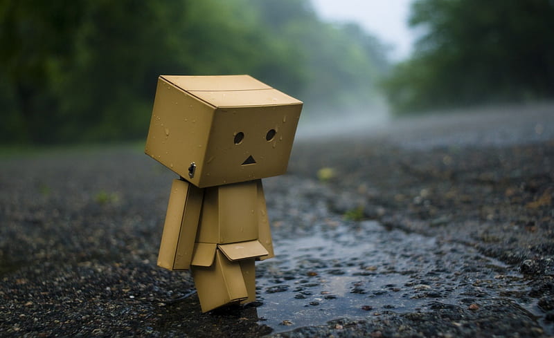 Sad Box, sad, box, robot, rainy, HD wallpaper