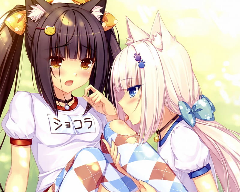 Chocola and vainilla!!!, neko, ears, vainilla, girls, chocola, HD ...