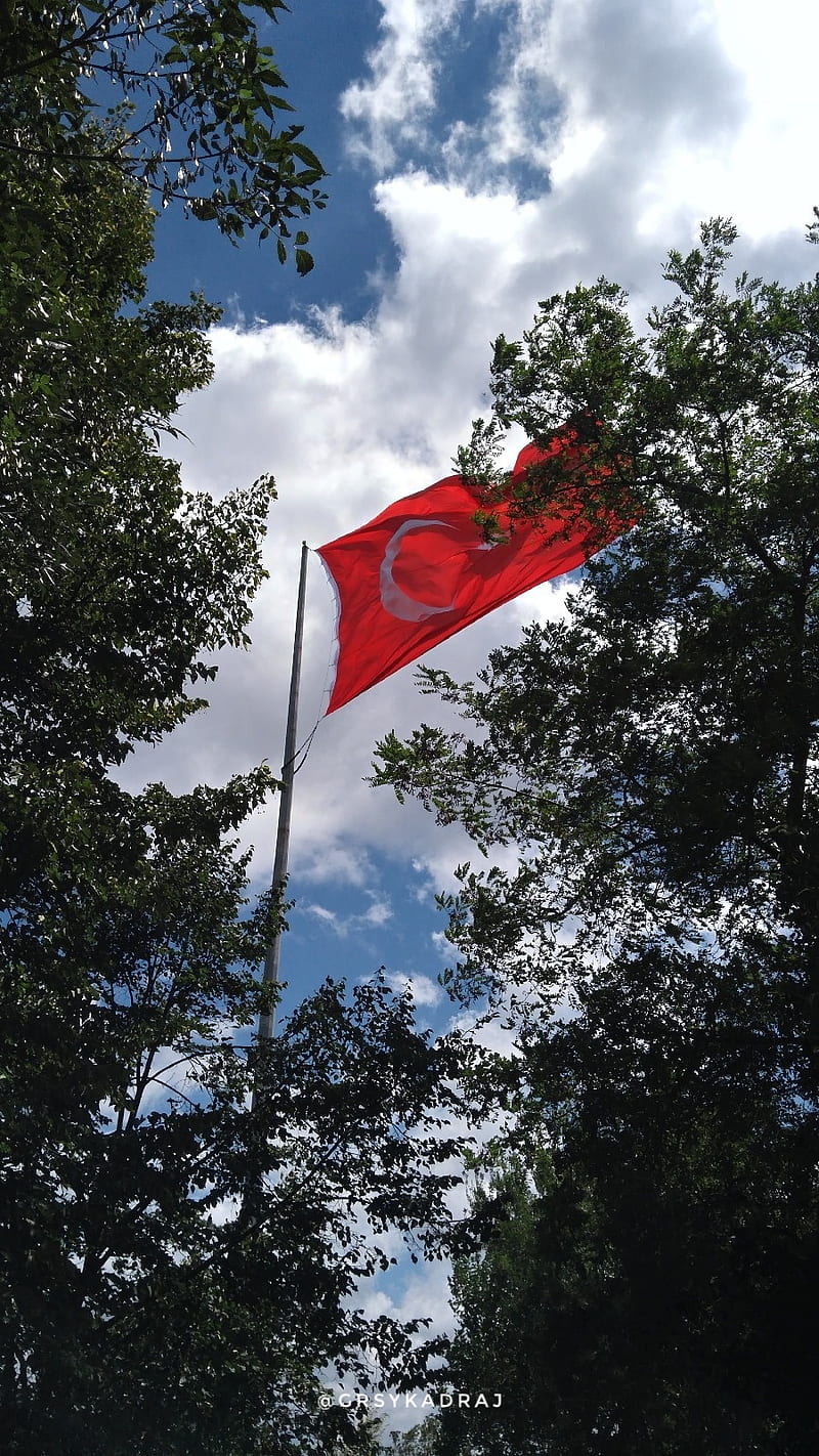 Turk Bayragi, flag, grsy, kadraj, turkey, HD phone wallpaper