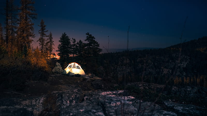 tent, starry sky, night, camping, trees, HD wallpaper